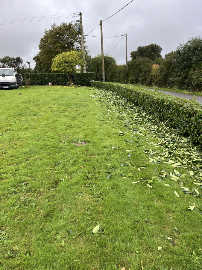 Jardin Dambiance Paysagiste Sarzeau Entretien De Jardin 1