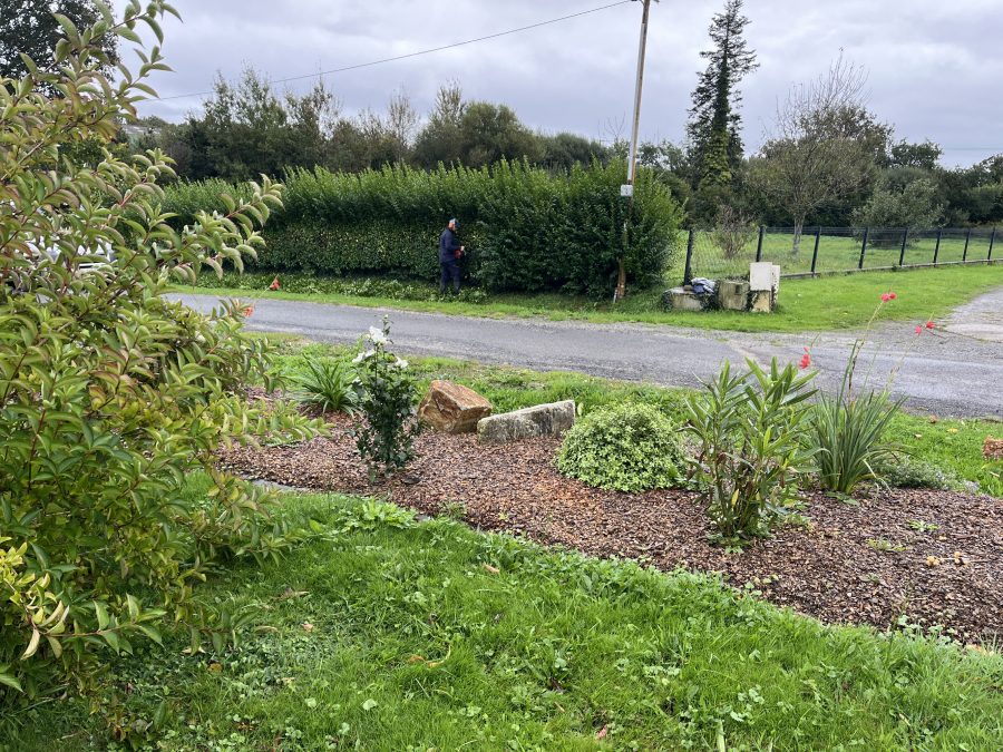 Jardin Dambiance Paysagiste Sarzeau Entretien De Jardin 2