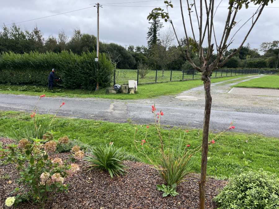 Jardin Dambiance Paysagiste Sarzeau Entretien De Jardin 3
