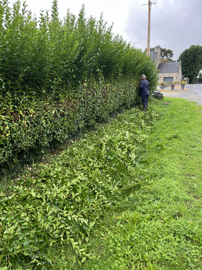 Jardin Dambiance Paysagiste Sarzeau Entretien De Jardin 4